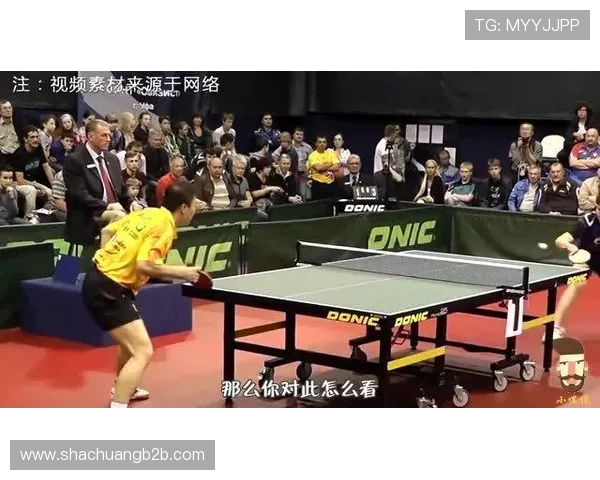 乒乓球的追梦旅程：刘磊与球桌上的深度对话与人生启示